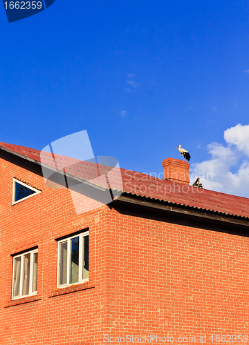 Image of beautiful stork stand on roof