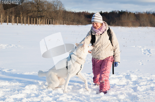Image of The woman with a dog in winter on walk