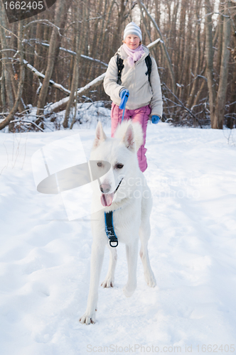 Image of The woman with a dog in winter on walk