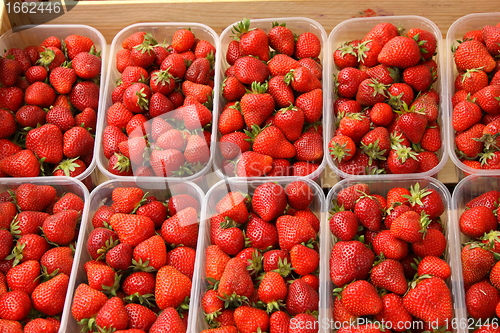 Image of trays of beautiful red strawberries and ripe de France