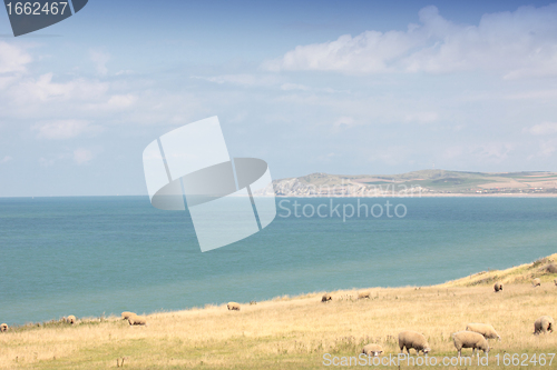 Image of landscape of the Opal Coast in France