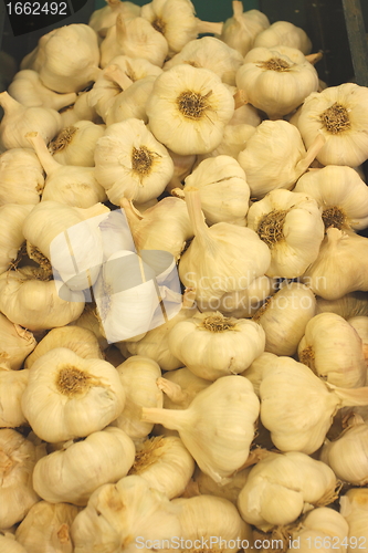 Image of garlic on market 