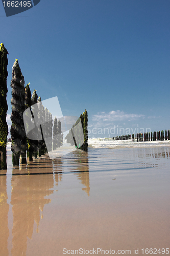 Image of mussel sea on the coast of opal in France Bouchot