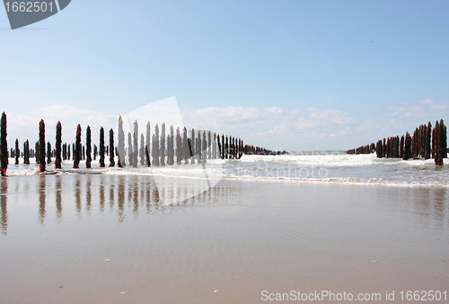 Image of mussel sea on the coast of opal in France Bouchot