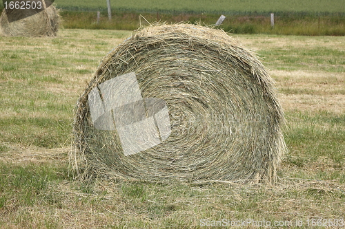 Image of rural landscape, bales of hay in a field in spring