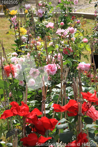 Image of Market of flowers in spring in France