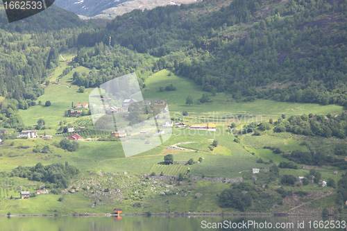 Image of Wonderful fjord greens of norway in spring