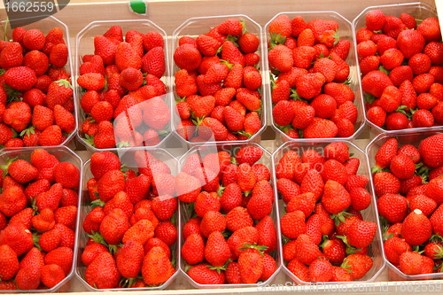 Image of trays of beautiful red strawberries and ripe de France