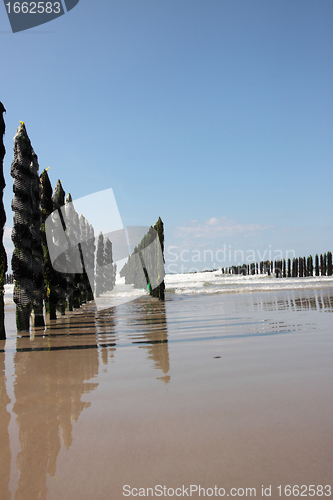 Image of mussel sea on the coast of opal in France Bouchot