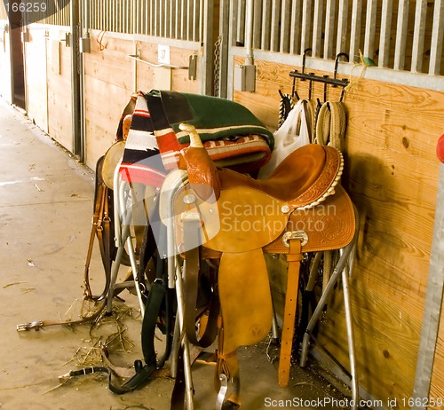 Image of Saddles