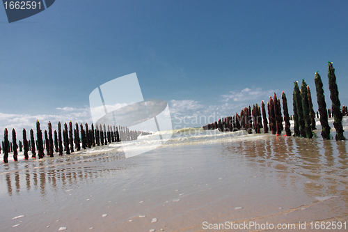 Image of mussel sea on the coast of opal in France Bouchot