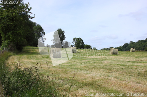 Image of rural landscape, bales of hay in a field in spring