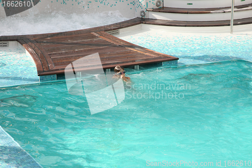 Image of children swimming in a pool with a diving mask