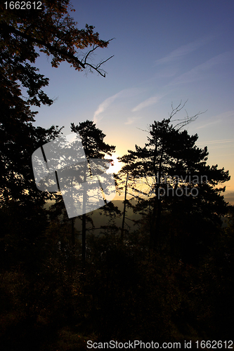 Image of daybreak in the mist of the valley of the Seine