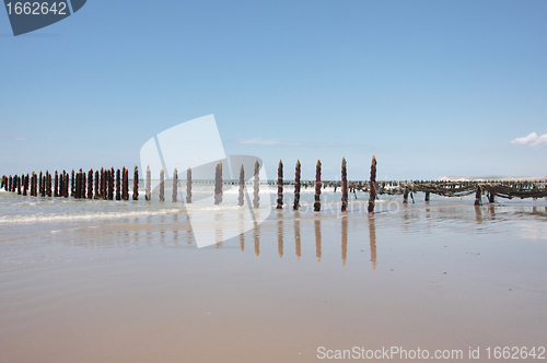 Image of mussel sea on the coast of opal in France Bouchot