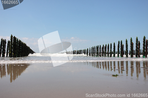 Image of mussel sea on the coast of opal in France Bouchot