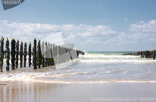 Image of mussel sea on the coast of opal in France Bouchot