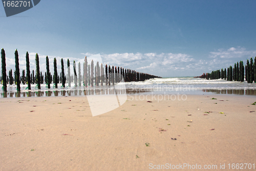 Image of mussel sea on the coast of opal in France Bouchot