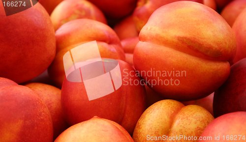 Image of Nectarines