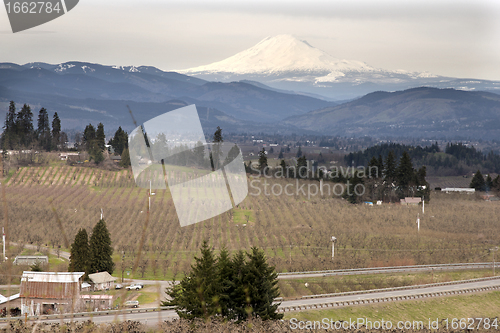 Image of Pear Orchard in Hood River Oregon