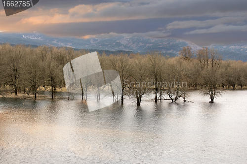 Image of Wetlands at Columbia River Gorge