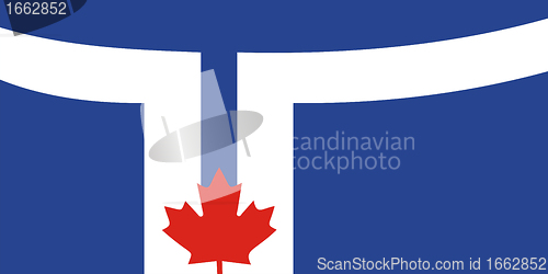 Image of toronto flag