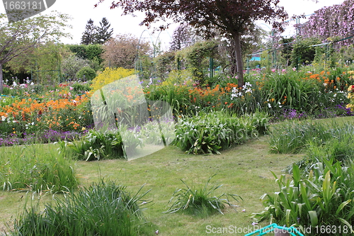 Image of flower garden in spring