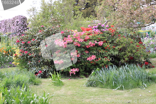 Image of flower garden in spring