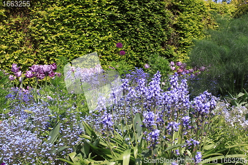 Image of flower garden in spring