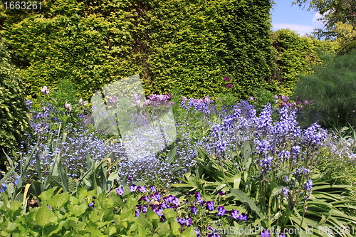 Image of flower garden in spring