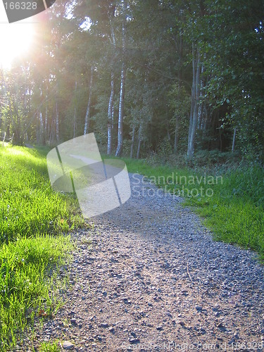 Image of Sunny path