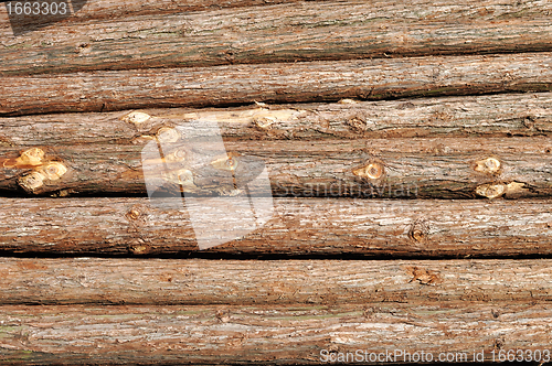 Image of Pine log