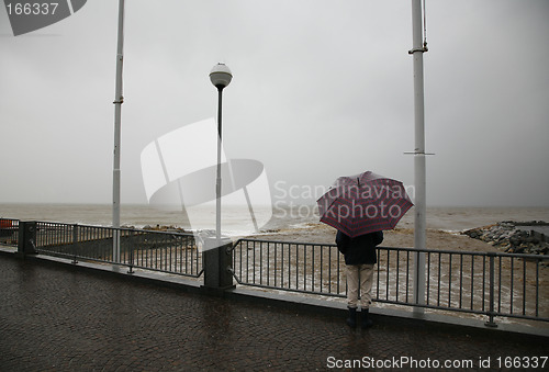 Image of Storm