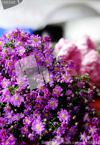 Image of Bunch of pink and purple flowers