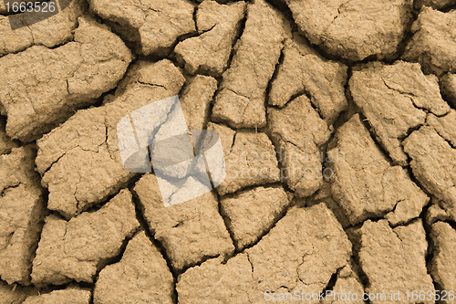 Image of Cracked earth
