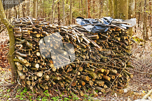 Image of fuel-wood