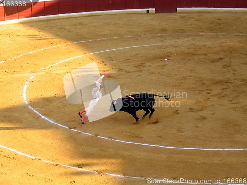 Image of Corrida