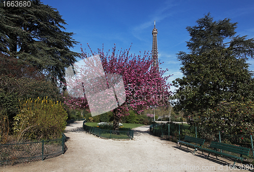 Image of Spring in Paris