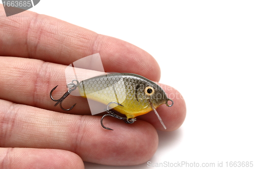 Image of fishing lure