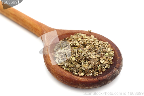 Image of oregano