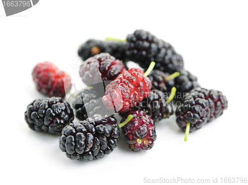 Image of Fresh mulberries