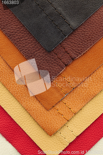 Image of Leather upholstery samples