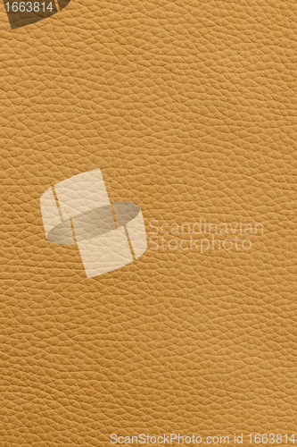 Image of Yellow leather background