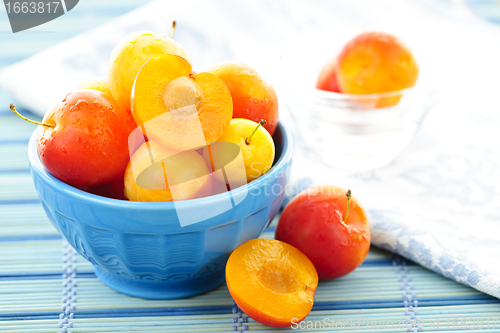 Image of Plums in bowl