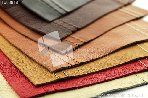 Image of Leather upholstery samples