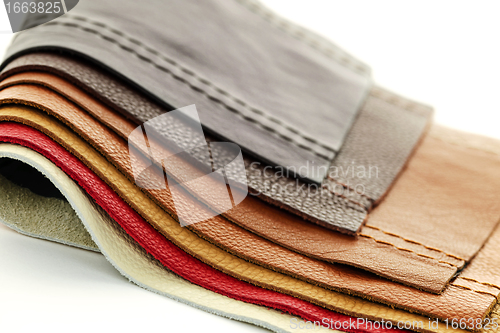 Image of Leather upholstery samples