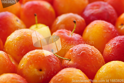 Image of Plums background