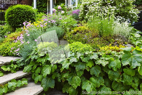 Image of Lush garden at home