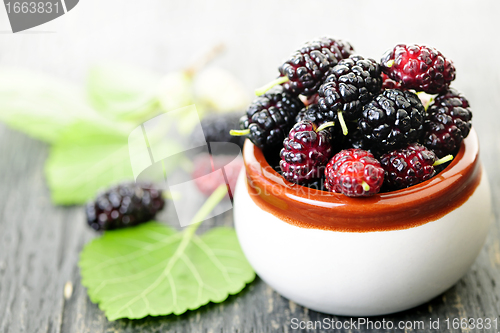 Image of Fresh mulberries