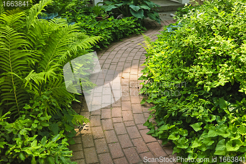 Image of Brick path in landscaped garden